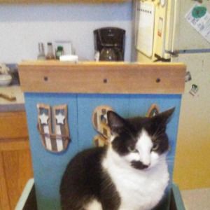 Meet your Posher, Elizabeth